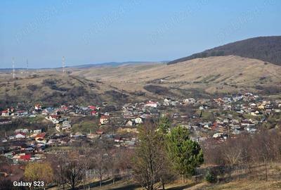 Casă cu 4 camere cu Teren 8140 Mp în Gârcina - 11