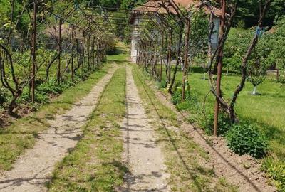 Casă cu 4 camere în Gureni - 4