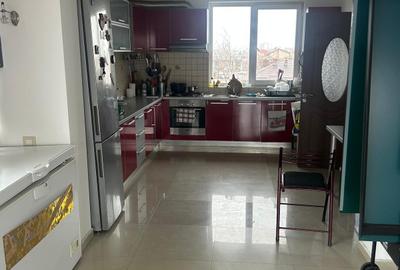 Apartament 130 mp + terasă 80 mp,intrare separată,centrala termica,curte mare - 3