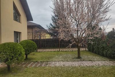 Casă cu 4 camere în Dragomirești - 4