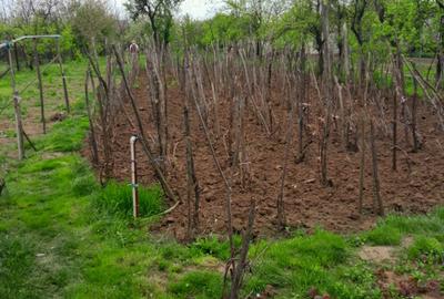 Casa vanzare Caracal 90m2 + teren 2110m2 - 10