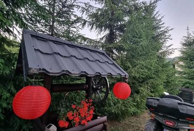 Casă cu 4 camere cu Teren 4800 Mp în Vama - 6