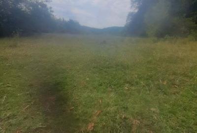 Teren de 12330 mp, în Baia de Fier - 2