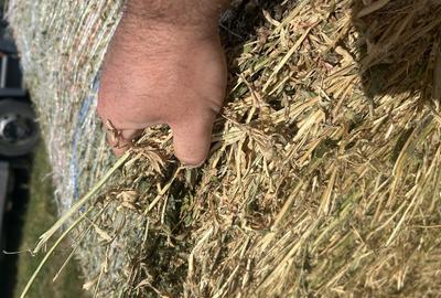 Spațiu comercial, în Fibiș