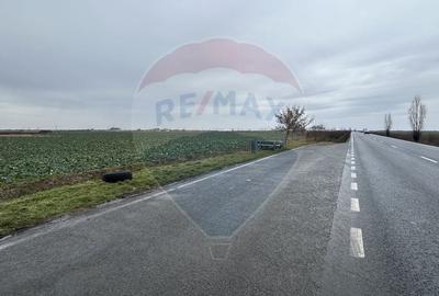 Teren intravilan 80500mp. aproape de nodul rutier de pe DX Oradea-Arad - 6