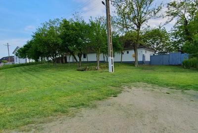 Casa batraneasca Ortisoara - 10