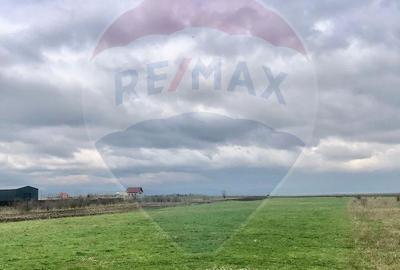 Spațiu comercial, în Tărlungeni - 5