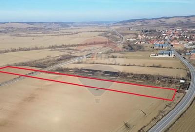 Teren de 10168 mp, în Brateiu - 4