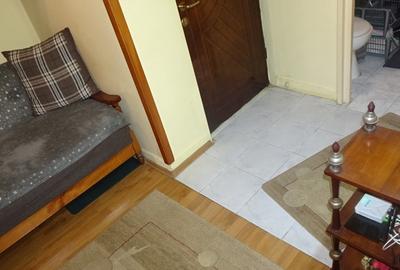 Apartament cu 2 camere decomandat în Piața Centrală - 15