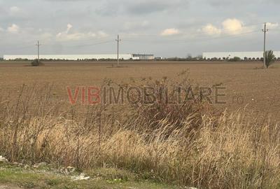 Teren de vanzare - 22800mp  - Parc Industrial km 23 - 6