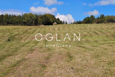 Teren Tocile (parcelabil) 3500 mp - 9