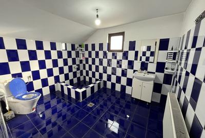 Casă individuală cu 5 camere cu Canalizare în Valu lui Traian - 16