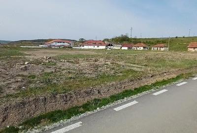 Spațiu comercial, de 496 mp, în Voivozi (Popești) - 7