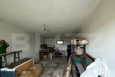 Proprietate completa in Sacuieni- Doua Case + Anexe - 26