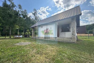 Casa de vacanta - zona Valea Bozom - Apata jud.Brasov - 7