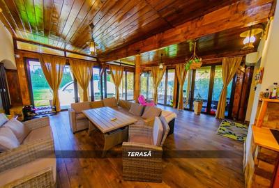 Casă individuală cu 4 camere cu Piscina în Independenței - 24