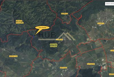 Teren Construcții extravilan de 5800 mp, în Vulcan - 4