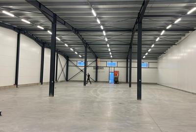 Spațiu industrial, de 1,400 mp, în Vest - 4