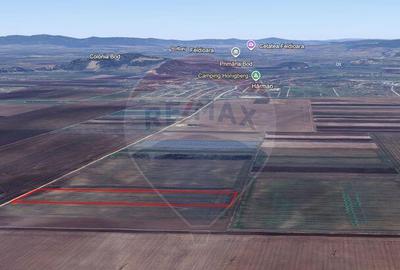 Teren de 6500 mp, în Hărman - 3