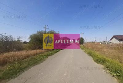 Teren de 1300 mp, în 1 Decembrie - 3