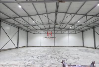 Spațiu comercial, de 600 mp, în Theodor Pallady - 11
