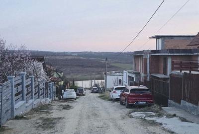 Spațiu comercial, în Paleu - 6