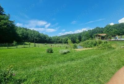 Casă cu Teren 30000 Mp în Central - 4