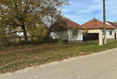Casă cu Teren 4000 Mp în Sălbăgelu Nou
