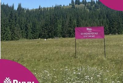 Teren de 2000 mp, în Central - 1