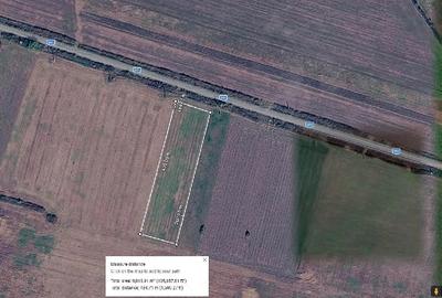 Teren de 10000 mp, în Sânmihaiu Român - 2