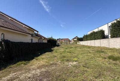 Teren Construcții de 980 mp, în Dumbrăvița - 3