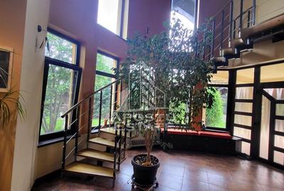 Casa individuala cu teren de 1431mp,zona Centrala Dumbravita Casa individuala cu teren de 1431mp,zona Centrala Dumbravita - 13