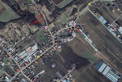 Spațiu comercial, în Curteni - 2