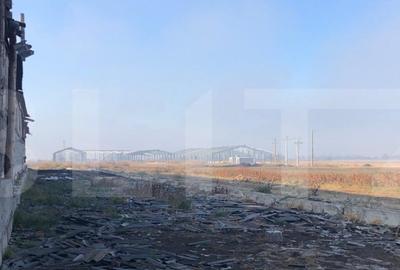 Ferma de vanzare in jud. Covasna, suprafata teren 4824 mp Ferma de vanzare in jud. Covasna, suprafata teren 4824 mp - 9