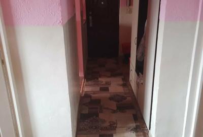 Apartament cu 2 camere decomandat în Dacia - 8