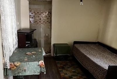 Casă cu Teren 50 Mp în Sasca Montană - 4