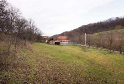 RECO Casa de vacanta la Holod- langa padure- teren 2190mp - 8