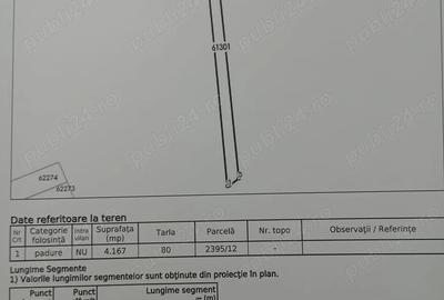 Teren de 20000 mp, în Cernu - 2