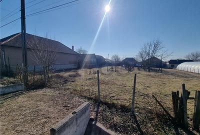 RECO Teren intravilan 1412 mp in Uileacul de Cris - 1