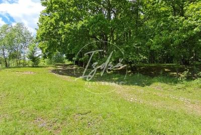 Parcelele cu cele mai bune preturi din judet - 8