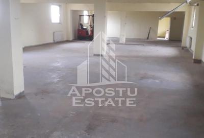 Spațiu industrial, de 700 mp, în Moșnița Nouă - 1