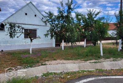 Casa cu teren 3300 mp, comuna Zabrani - 1