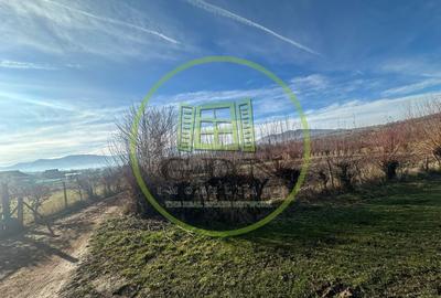 Teren intravilan 1100mp oportunitate spre vanzare in Rasinari - 5