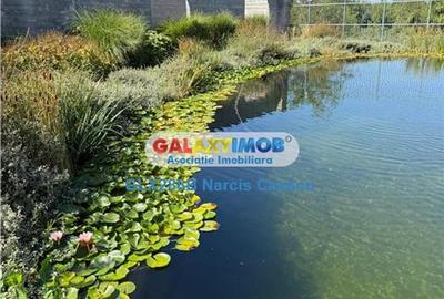 Apartament cu 2 camere decomandat, mobilat în Pipera - 4