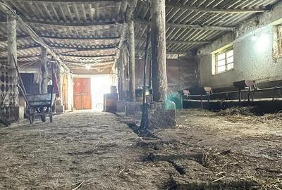 Spațiu comercial, de 332 mp, în Tulca - 4