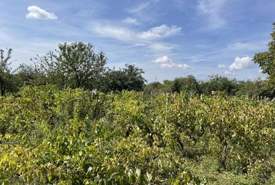 Malu, sat Butoiu Ialomita - 8