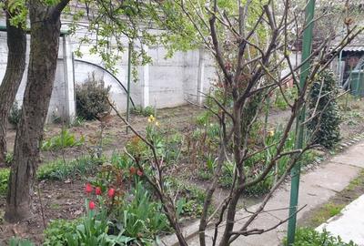 Casă cu 2 camere cu Teren 444 Mp în Central - 4
