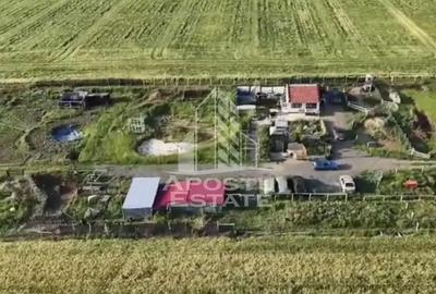 Farmhouse la 14km de Timisoara, teren agricol 1ha - 4