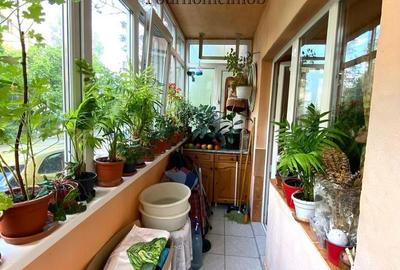 Apartament cu 2 camere semidecomandat în Brazda lui Novac - 3