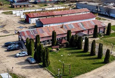4,2 ha Teren DN7 Nadlac pentru Parc Logistic - 3
